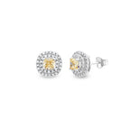 Fancy Yellow ve Pırlanta Taşlı Arkena Küpe